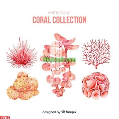 File tranh File gốc in tranh nền tường tổng hợp K75114 (ảnh gốc) độc quyền