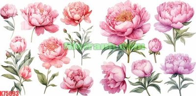 File tranh File gốc in tranh nền tường tổng hợp K75693 (ảnh gốc) in trần nhà