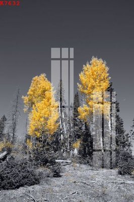 Ảnh gốc File gốc in tranh tổng hợp K7632 (nét căng) in mica