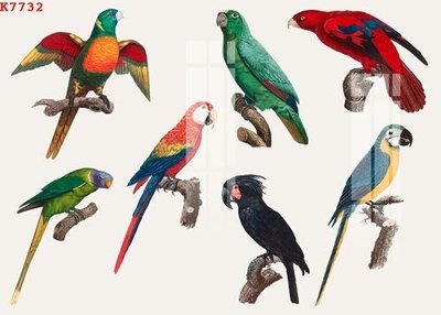 File gốc in ấn File gốc in tranh tổng hợp K7732 chất lượng vượt trội