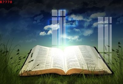 File in mica File gốc in tranh tổng hợp K7778 (bản gốc) làm vách ngăn