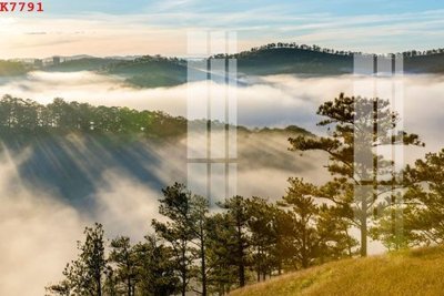 Hình ảnh file gốc in trần nhà File gốc in tranh tổng hợp K7791