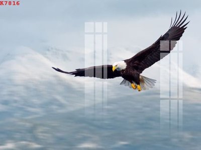 Tải file gốc File gốc in tranh tổng hợp K7816 (bản PSD) gốc