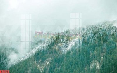 File ảnh File tranh gốc dán tường đẹp K78173 (gốc) in poster