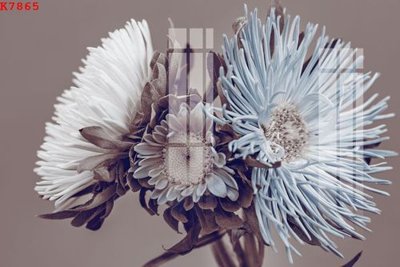 File tranh File gốc in tranh tổng hợp K7865 (ảnh gốc) chi tiết rõ ràng