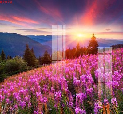 File tranh File gốc in tranh tổng hợp K7872 (bản gốc) in lụa 5D