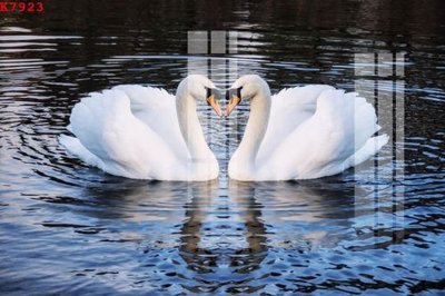 File ảnh gốc File gốc in tranh tổng hợp K7923 không vỡ nét