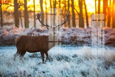 Tải file gốc File gốc in tranh tổng hợp K7996 (in không vỡ ảnh)