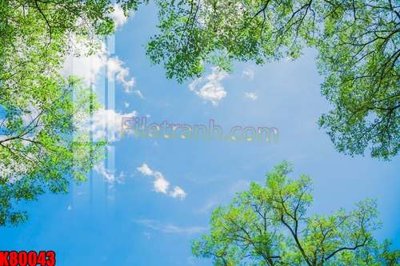 File in lụa File tranh gốc tổng hợp K80043 (phong cảnh) File tranh gốc tổng hợp K80043