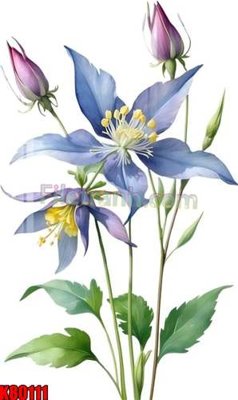 Download file File tranh gốc tổng hợp K80111 (chuẩn in) chất lượng cao