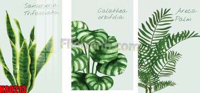 Tải file gốc File tranh gốc tổng hợp K80213 dùng cho in ấn