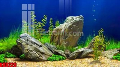 Tệp tin gốc File tranh gốc tổng hợp K80229 (dùng cho in) File tranh gốc tổng hợp K80229