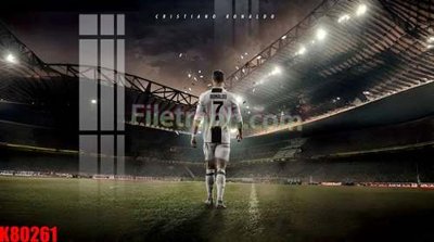 File in ấn File tranh gốc tổng hợp K80261 (bản gốc) sắc nét