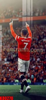 File tranh File tranh gốc tổng hợp K80270 (gốc) chủ đề thiên nhiên