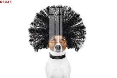 Tải về file gốc File gốc in tranh tổng hợp K8033 (dùng cho in quảng cáo)