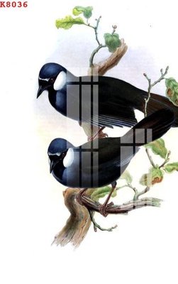 File tranh PSD File gốc in tranh tổng hợp K8036 chất lượng cao