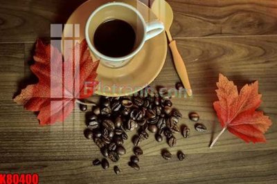 File tranh File tranh gốc tổng hợp K80400 (bản gốc) in lụa 5D