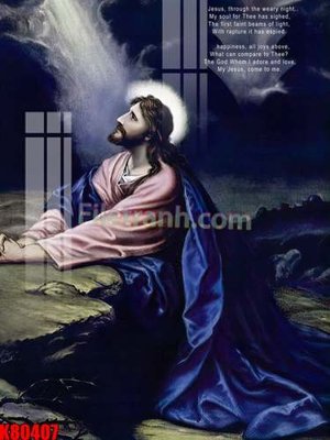 File in mica File tranh gốc tổng hợp K80407 (ảnh gốc) đẹp