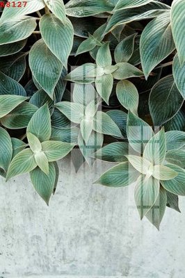 File gốc File gốc in tranh tổng hợp K8127 (trang trí) phòng trẻ em