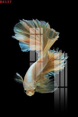 File gốc File gốc in tranh tổng hợp K8137 (chuẩn CMYK) cho nhà in