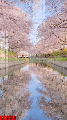 File PSD in ấn File tranh gốc tổng hợp K81553 (chất lượng cao)