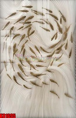 File gốc in tráng gương File tranh gốc tổng hợp K81695 chi tiết