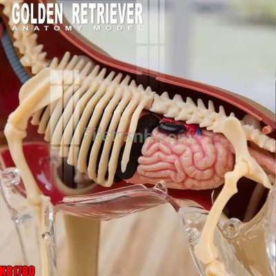 Download file File tranh gốc tổng hợp K81780 (gốc) in mica cao cấp