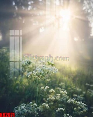 File tranh File tranh gốc tổng hợp K82071 (gốc) chủ đề trừu tượng