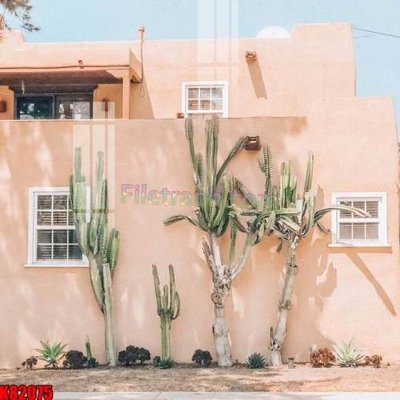 Tải file tranh File tranh gốc tổng hợp K82075 (gốc) tại Filetranh.com