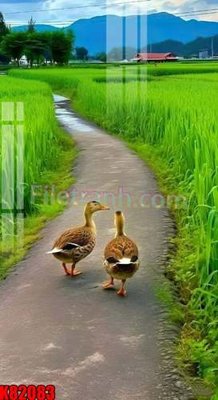 File in ấn cao cấp File tranh gốc tổng hợp K82083 (file gốc)