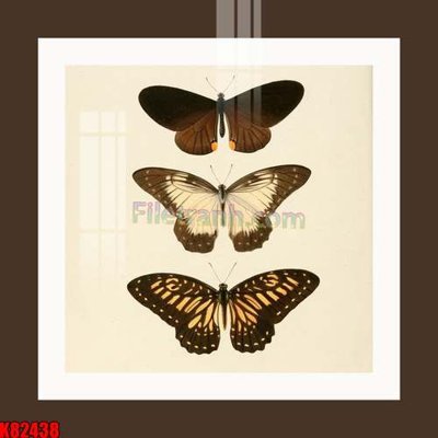 File in ấn File tranh gốc tổng hợp K82438 (bản gốc) sắc nét