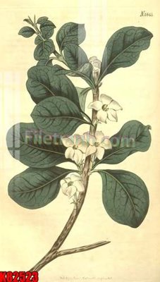 File gốc File tranh gốc tổng hợp K82523 (trang trí) phòng ngủ