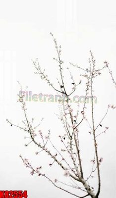 File gốc File tranh gốc tổng hợp K82554 (trang trí) phòng ngủ