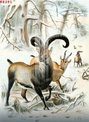 Hình ảnh file gốc File gốc in tranh tổng hợp K8291 cho in UV