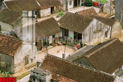 File tranh trang trí File tranh gốc tổng hợp K83051 (file gốc)