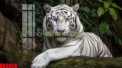 File in trần File tranh gốc tổng hợp K83058 (file gốc) xuyên sáng