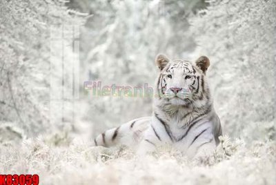 File tranh gốc File tranh gốc tổng hợp K83059 (bản đẹp) độc quyền