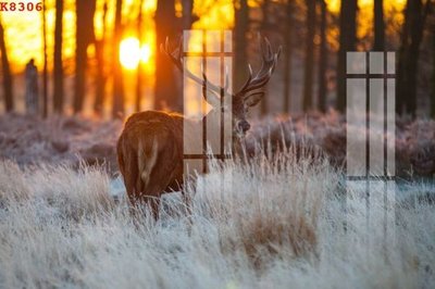 Tải file gốc in lụa File gốc in tranh tổng hợp K8306 siêu nét