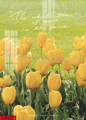 File PSD File tranh gốc tổng hợp K83301 (bản gốc) dễ dàng edit