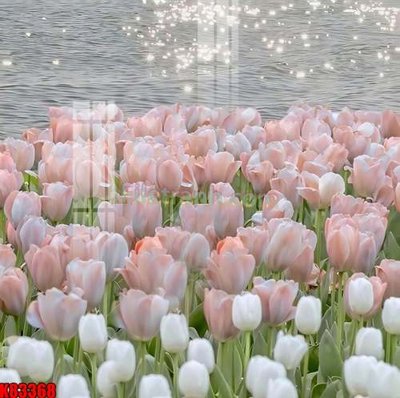 Tải file File tranh gốc tổng hợp K83368 (ảnh gốc) in gạch men