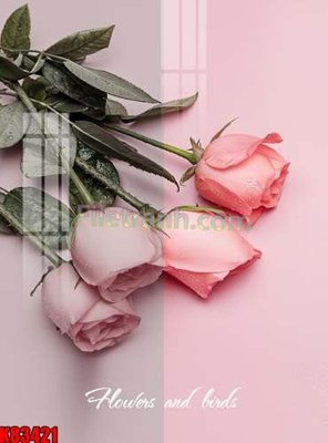 File tranh File tranh gốc tổng hợp K83421 (gốc) phong cách tối giản