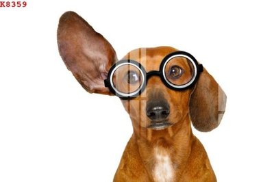 File tranh File gốc in tranh tổng hợp K8359 (bản gốc) trang trí văn phòng