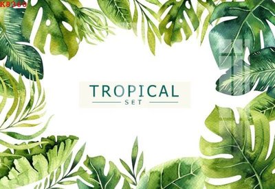 File gốc in ấn File gốc in tranh tổng hợp K8360 chất lượng vượt trội