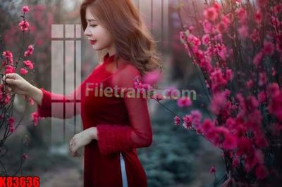 File tranh gốc File tranh gốc tổng hợp K83636 chủ đề hiện đại