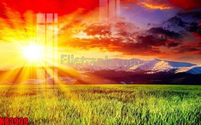 Tải file File tranh gốc tổng hợp K83939 (gốc) làm tranh treo tường