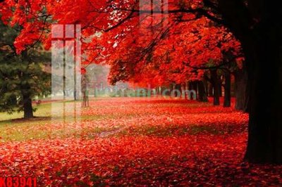 File gốc File tranh gốc tổng hợp K83941 (in 3D) nghệ thuật