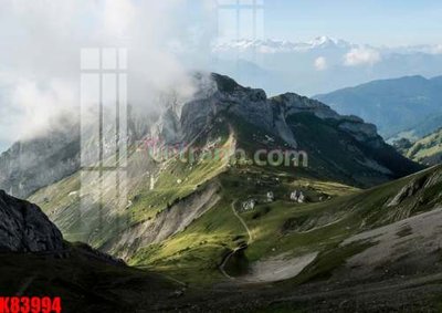 File tranh gốc File tranh gốc tổng hợp K83994 (bản quyền) độc đáo