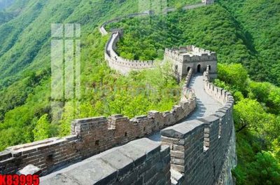 Download file gốc File tranh gốc tổng hợp K83995 (in lụa) hoa lá