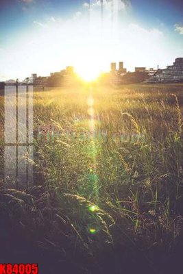 File tranh File tranh gốc tổng hợp K84005 (ảnh gốc) độc quyền