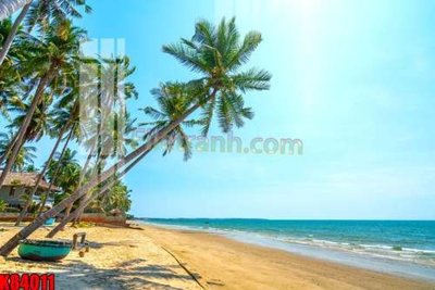 File gốc File tranh gốc tổng hợp K84011 (in tráng gương) nghệ thuật